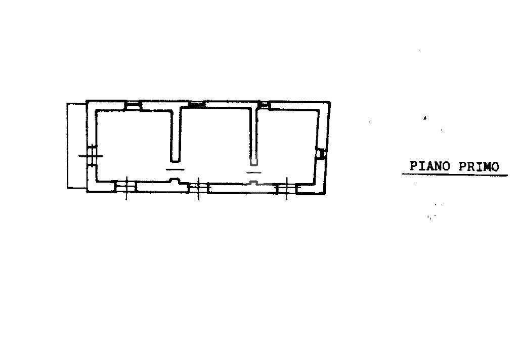 pln p1