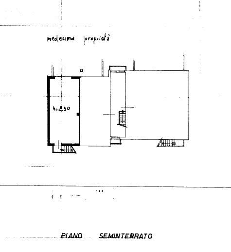 pianta box