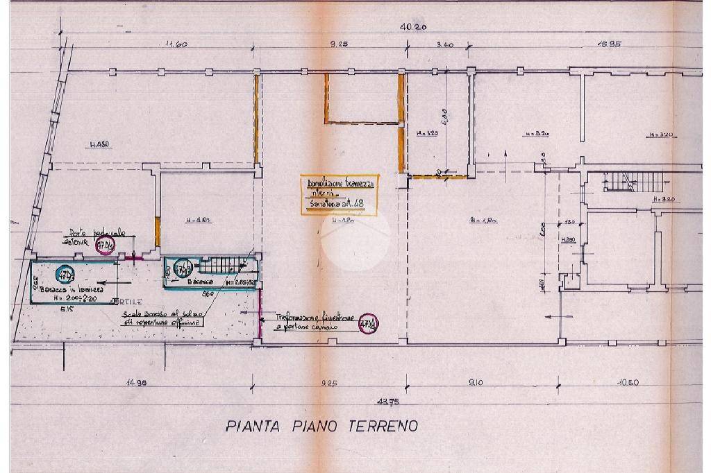 plani fogliano