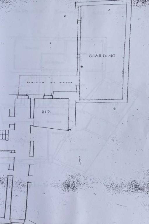 plan giardino