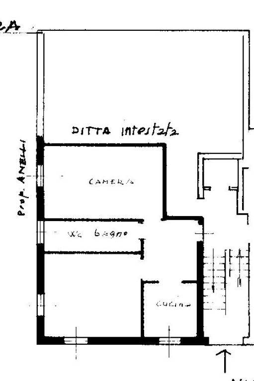 pln bilo centro