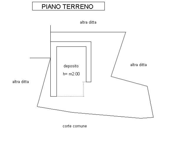 PLN3