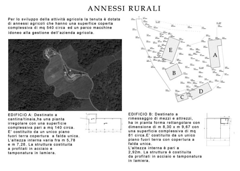 RS2206 - annessi-1