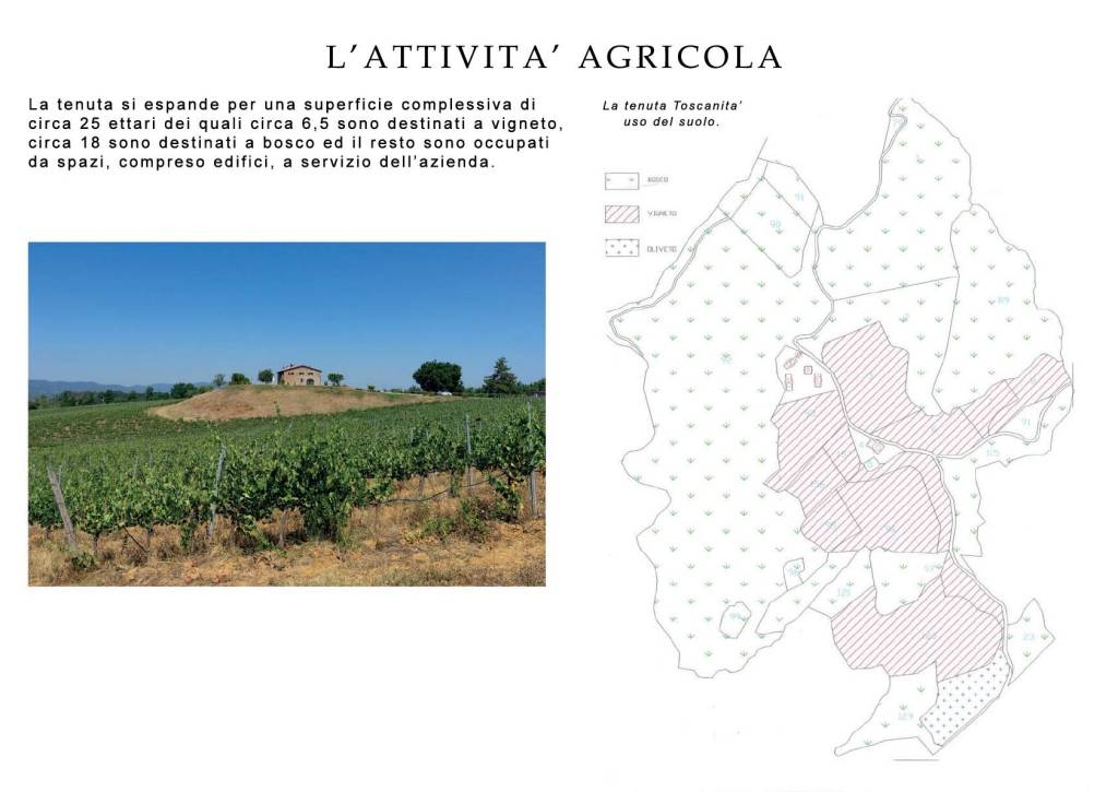 RS2206 - attività agricola