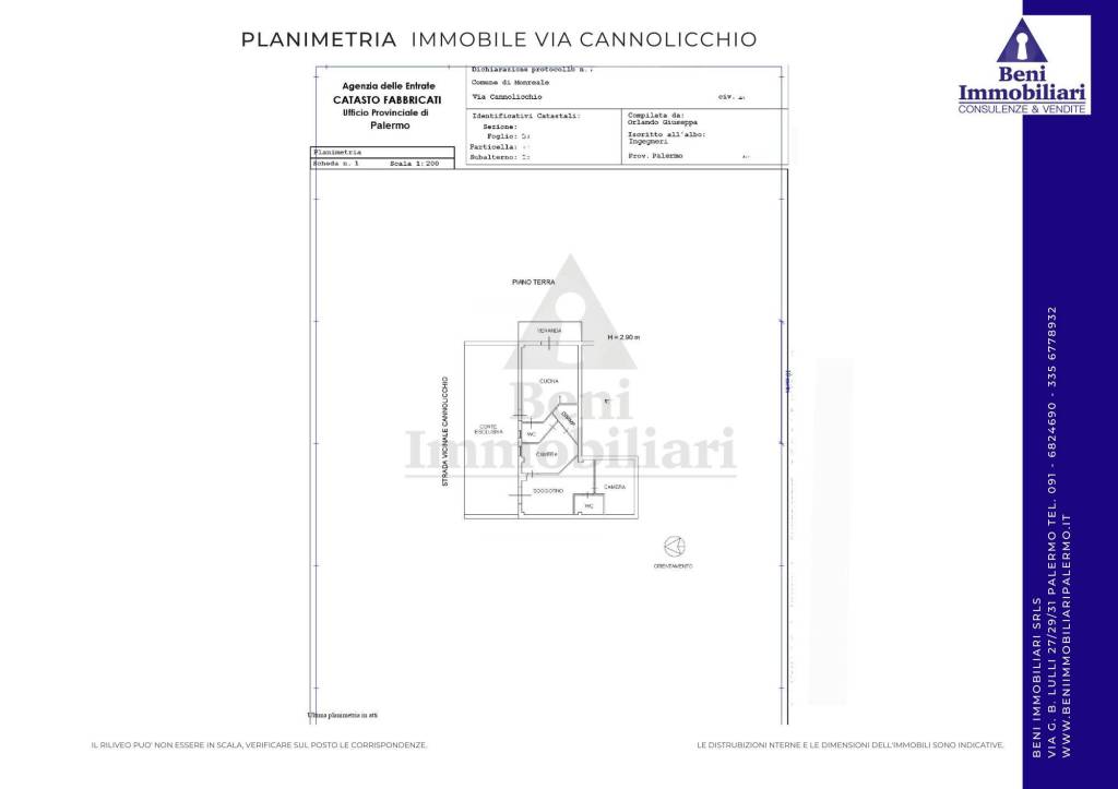 cannolicchio