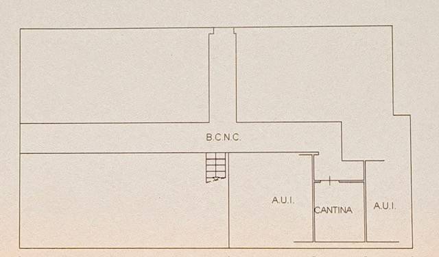 planimetria cantina