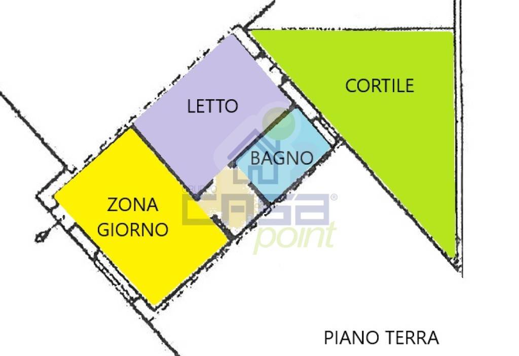 PIANTINA COLORATA