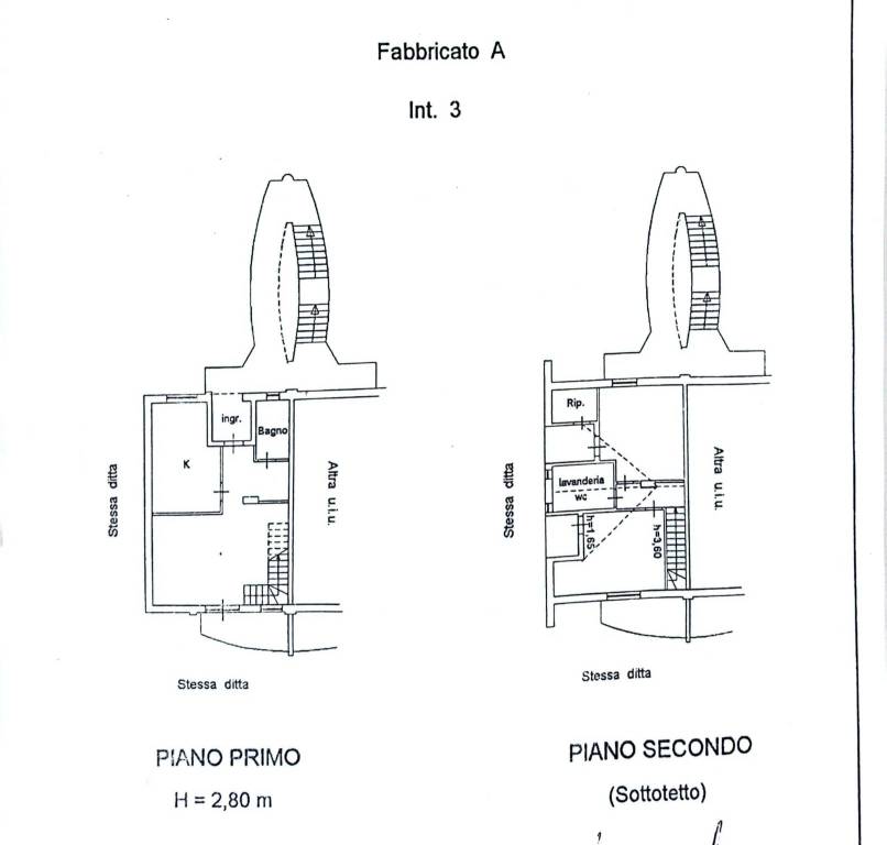 piantina san mango amendola