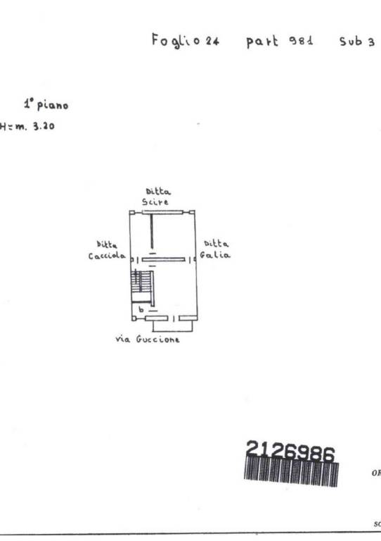 barchitta 1° piano plan - Copia 1