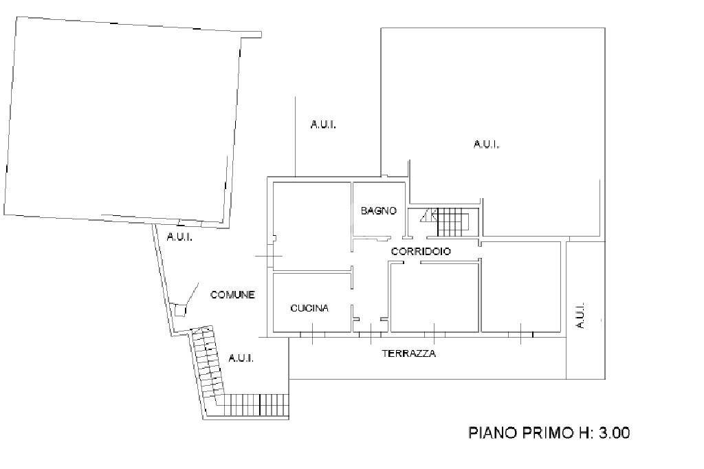 pln dinamica trilo