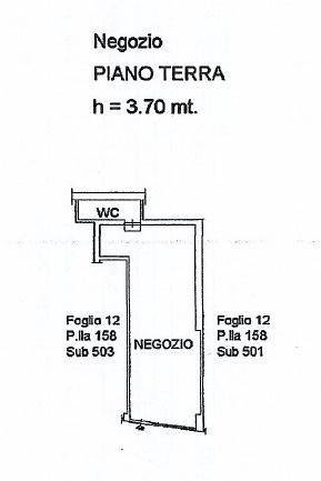 pln pubblicità 502