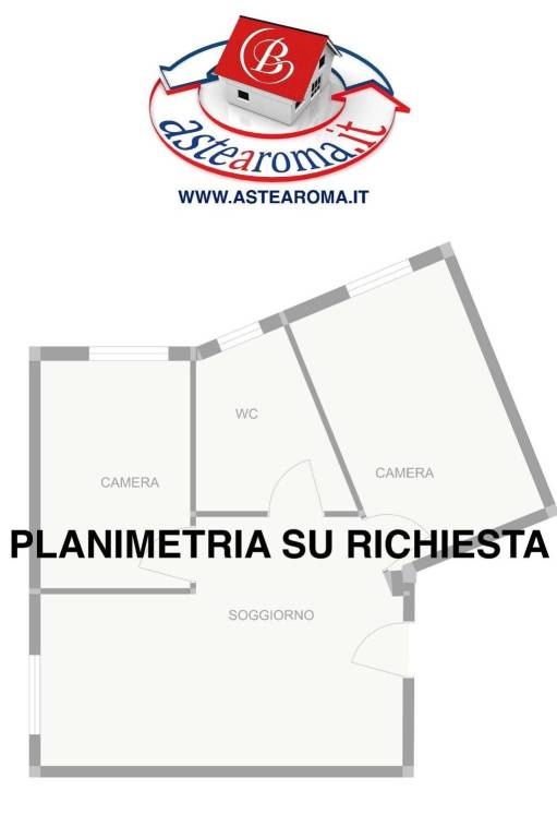 PLANIMETRIA SU RICHIESTA ASTE