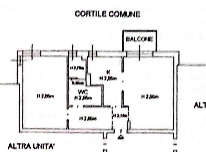 Piantina