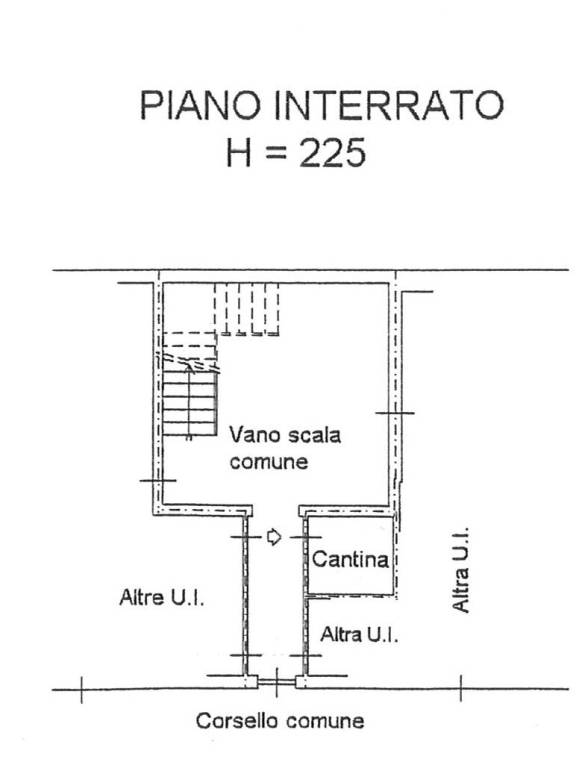 Planimetria cantina