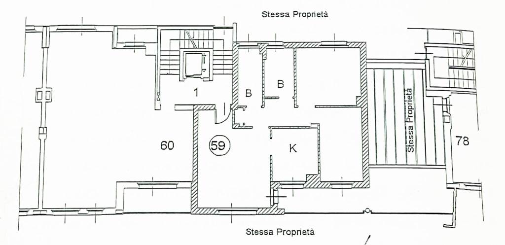 pianta-1