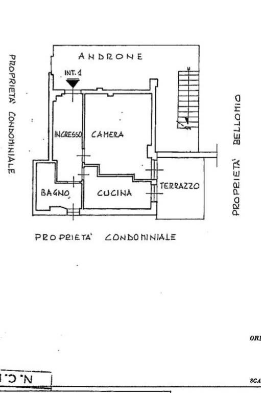 PLN NUOVA 1