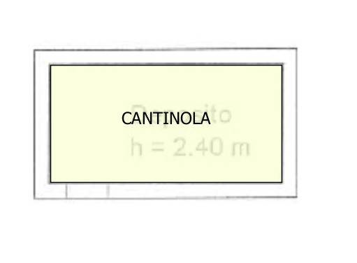 PLN PER CLIENTE CANTINOLA