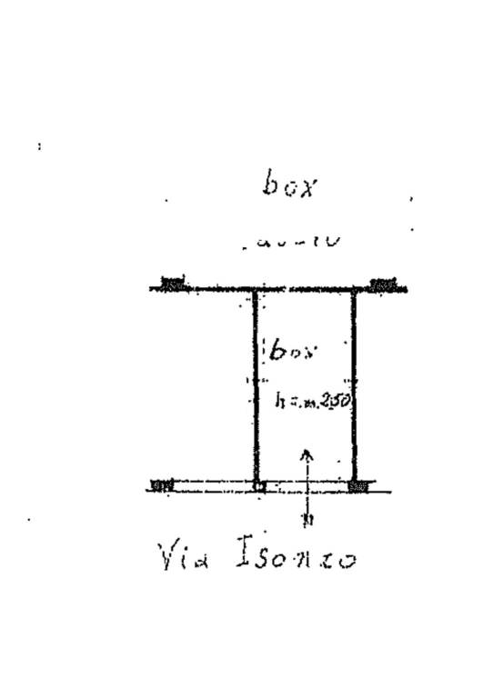 PIANTA box papale 1