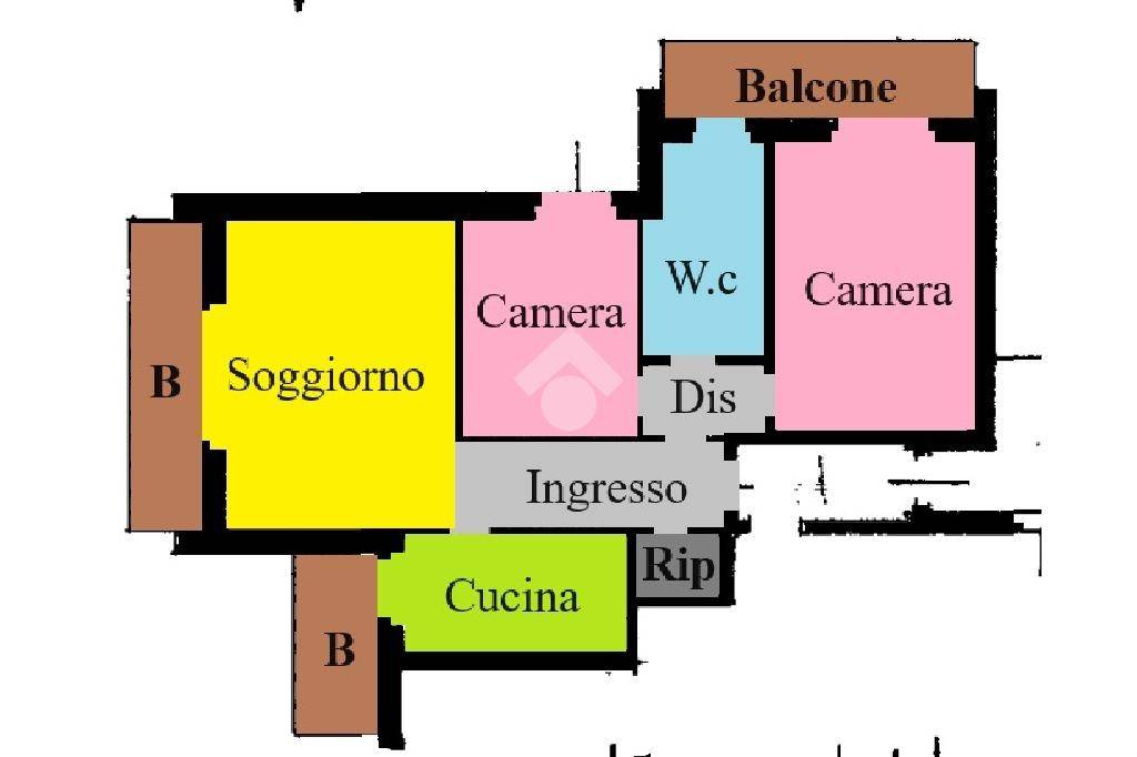 pln colorata