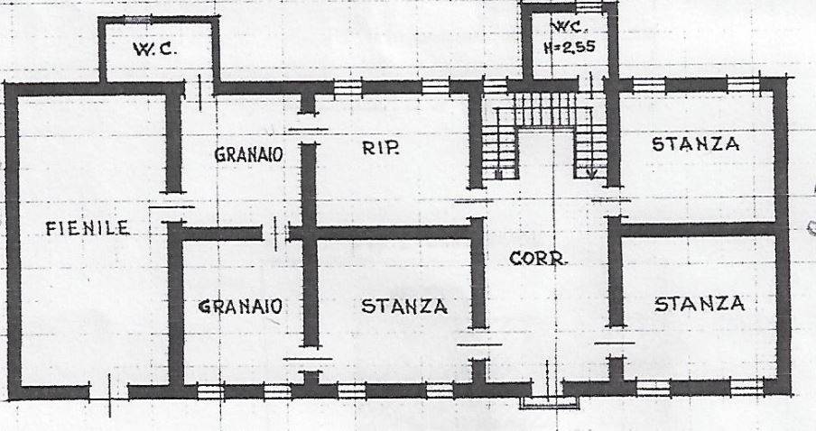 Piantina primo piano