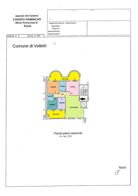 plan camelie colorata