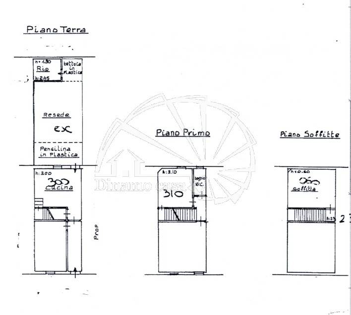 cattura218tavola wmk 0