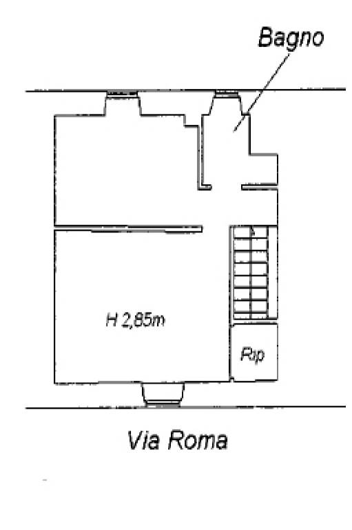 Pianta P1