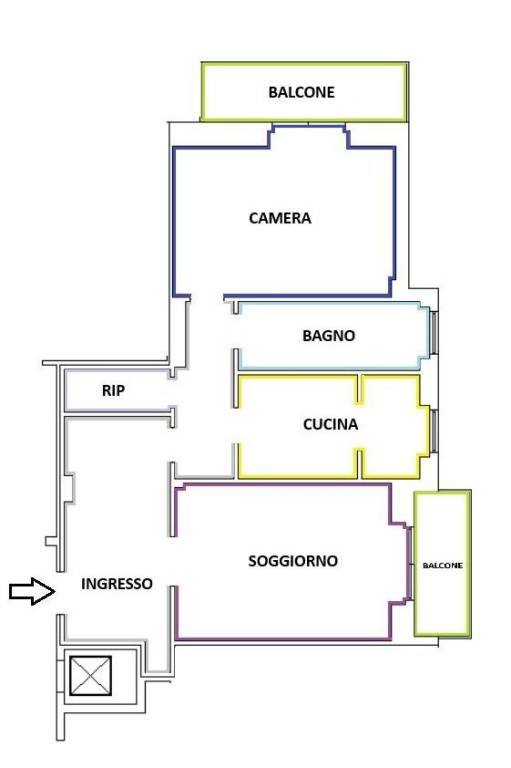 PLN COLORATA