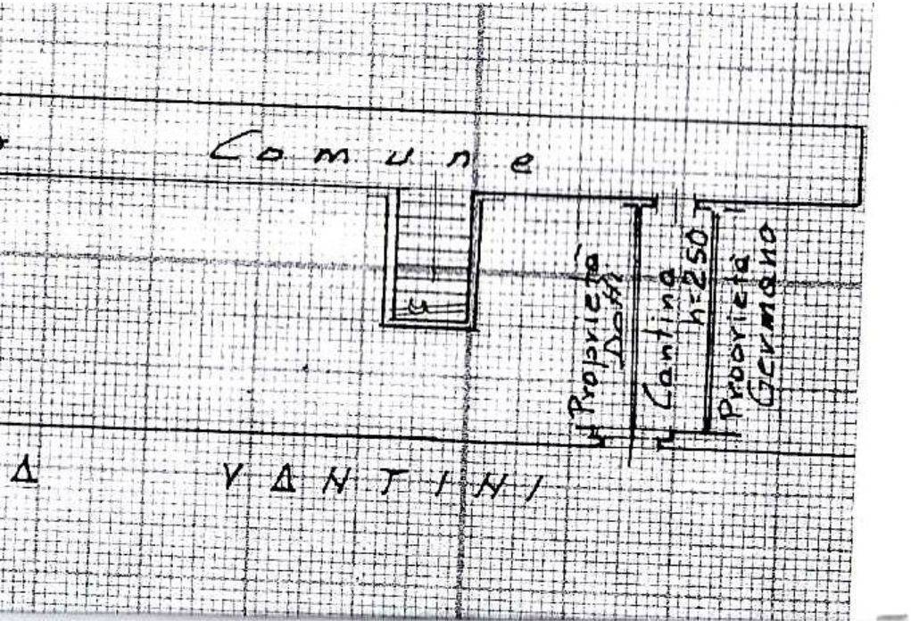 PLANIMETRIA CANTINA VANTINI 18 1