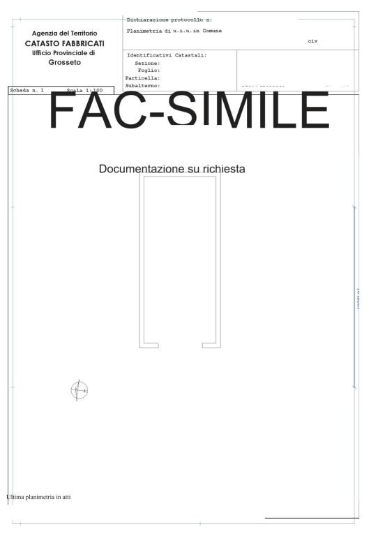 FAC-SIMILE PLAN 1