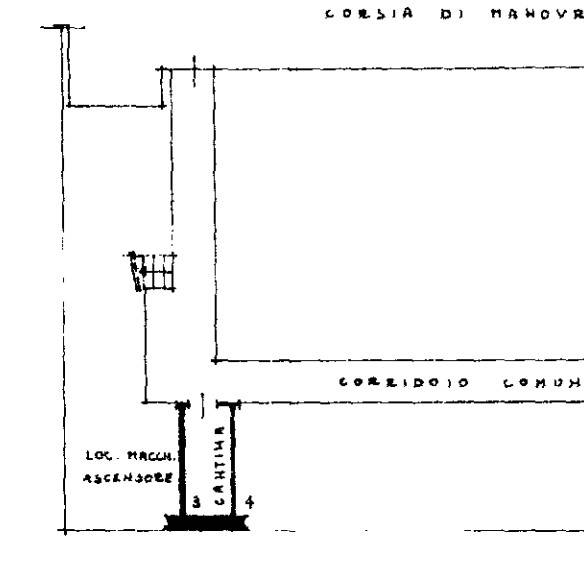 PLANNIMETRIA CANTINA