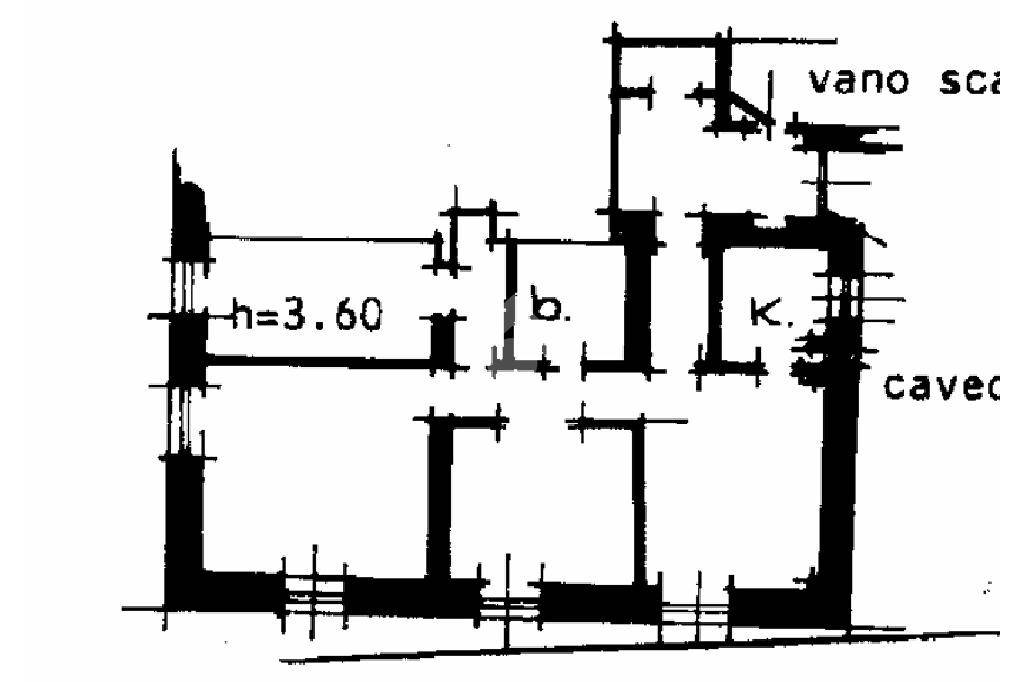 PLN