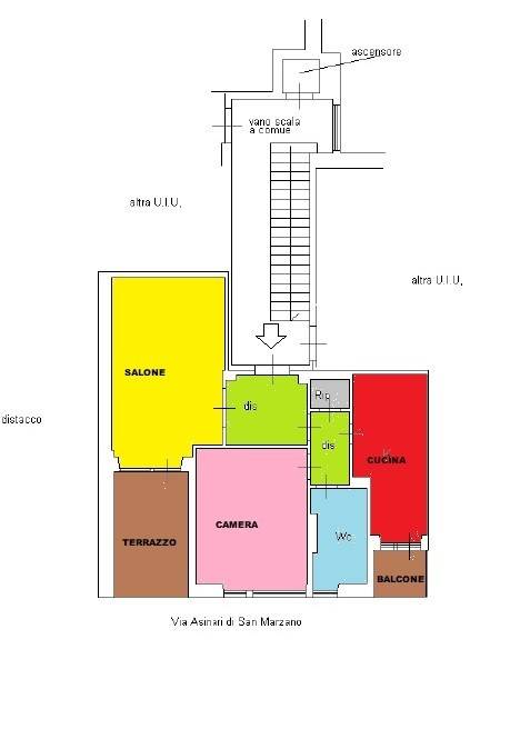 PLN_Colorata