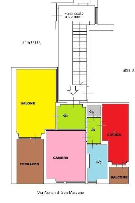 PLN_Colorata