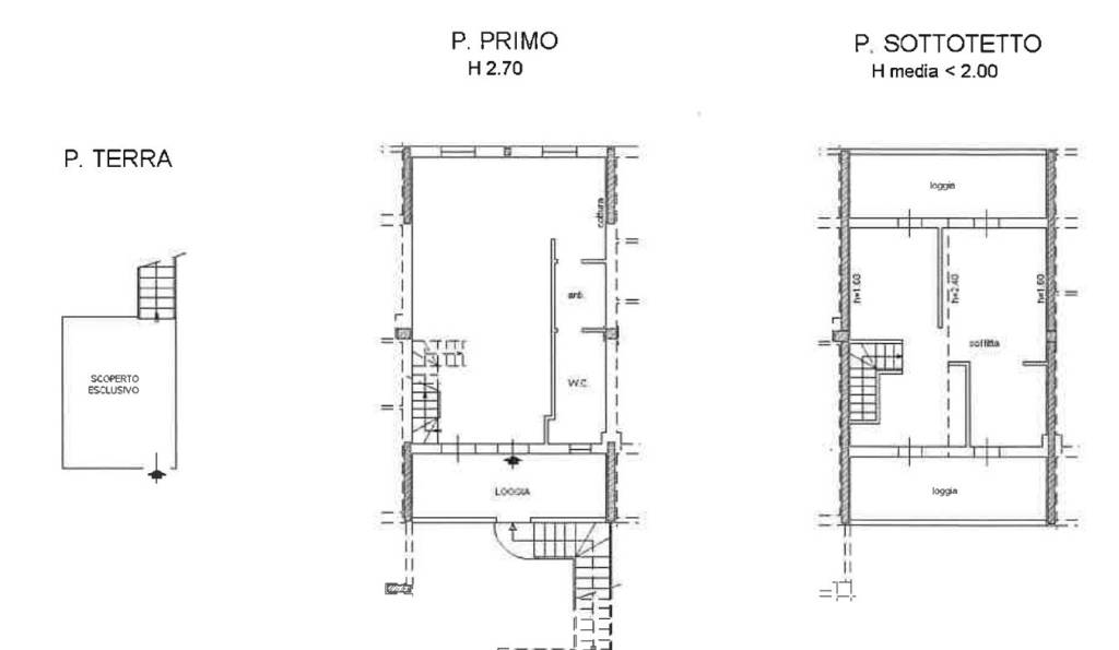 Pianta Trebbiantico