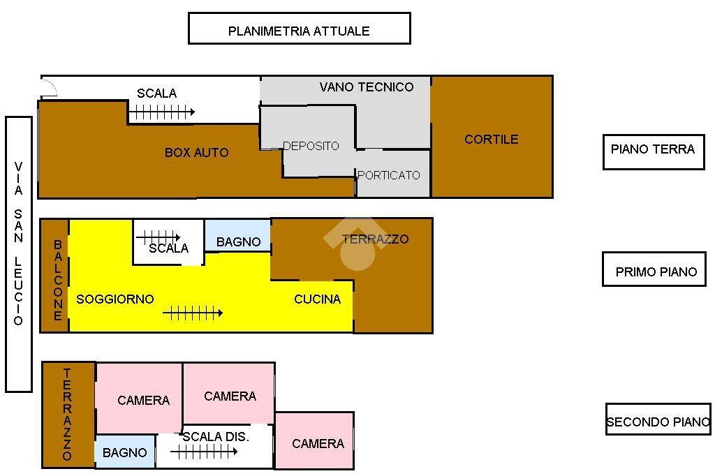 Piantina sna leucoi