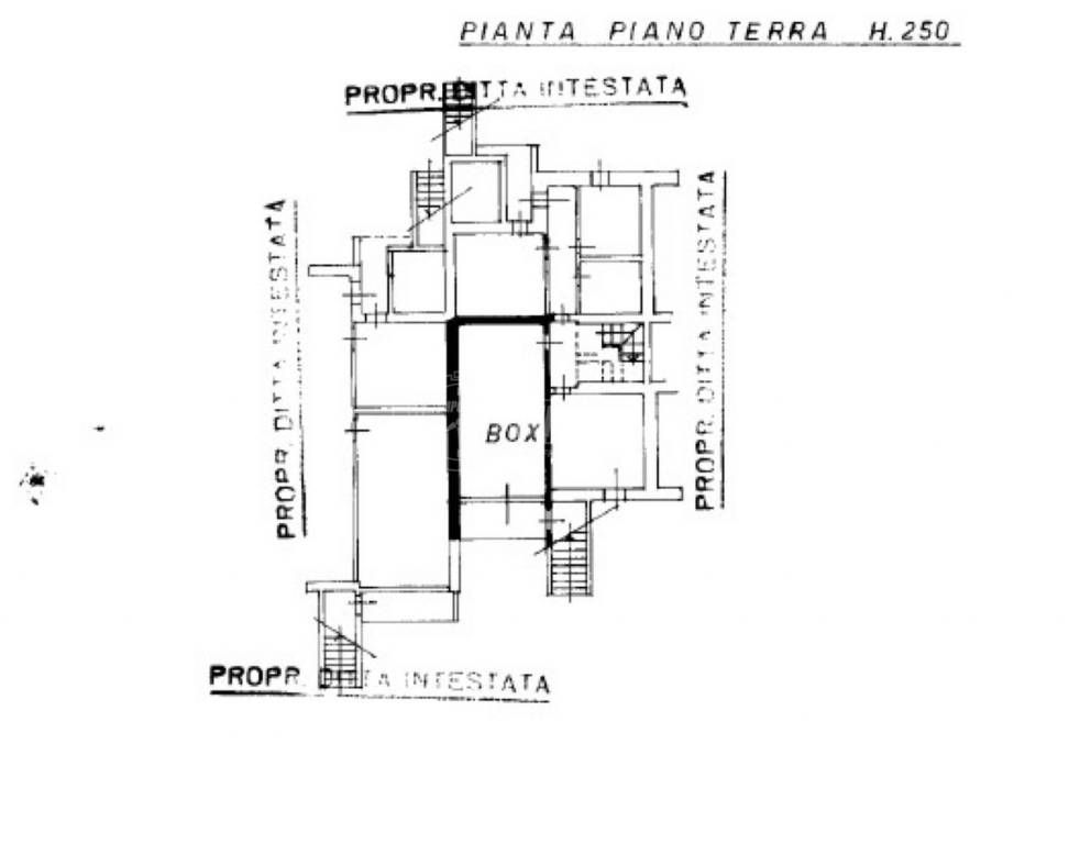 PIANTINA WEB BOX