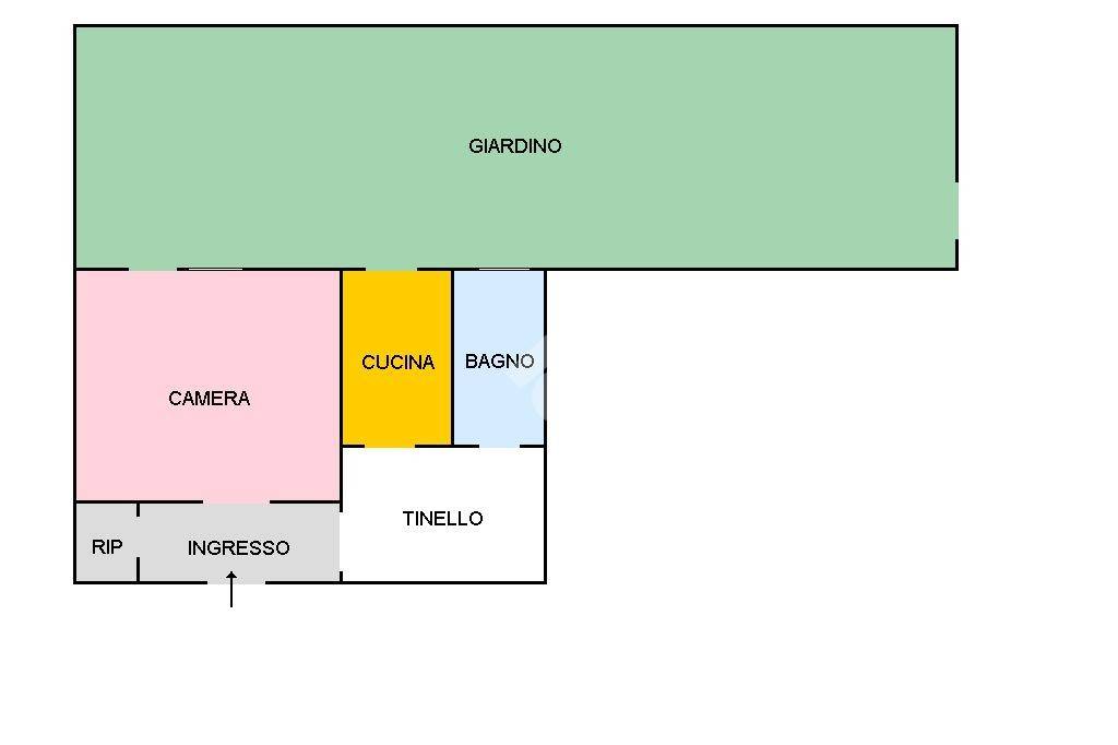 plan Bellucci