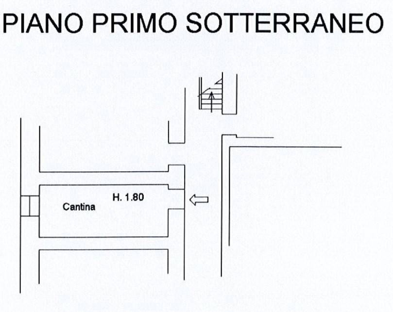 Planimetria Annuncio Cantina.jpg