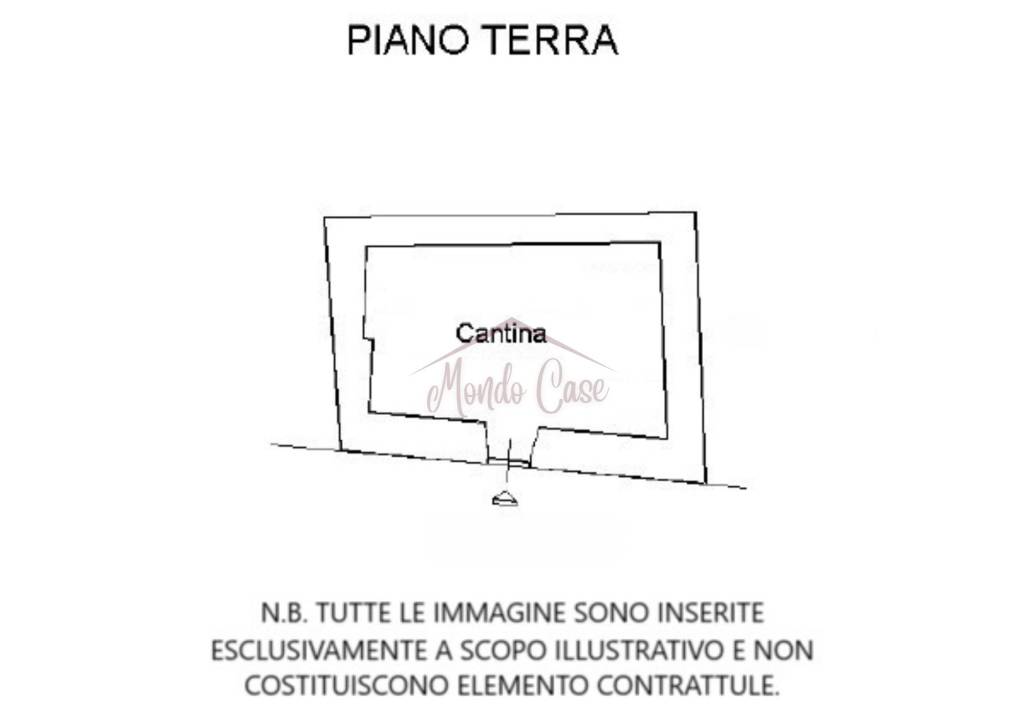 Planimetria cantina piano terra