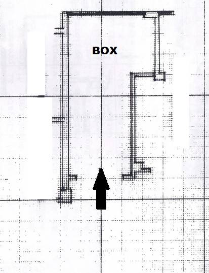 pianta rit. per pubblicità box