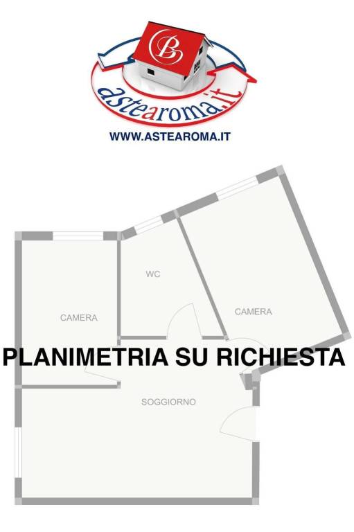 PLANIMETRIA SU RICHIESTA ASTE