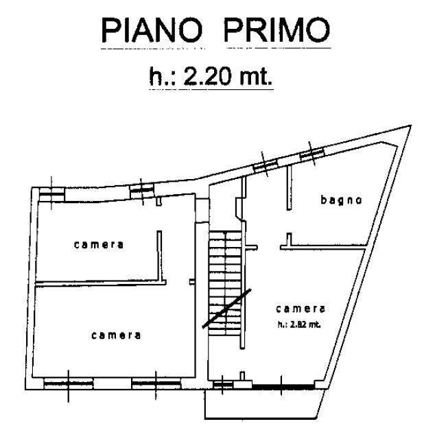 p. primo