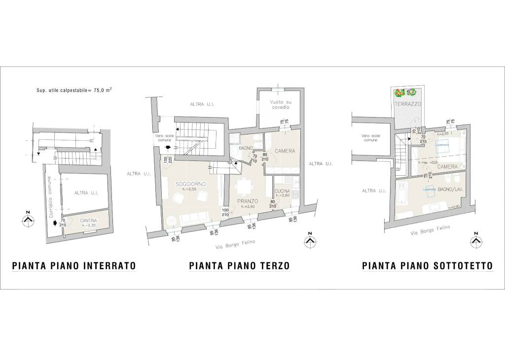 PLANIMETRIE LAYOUT_ 1