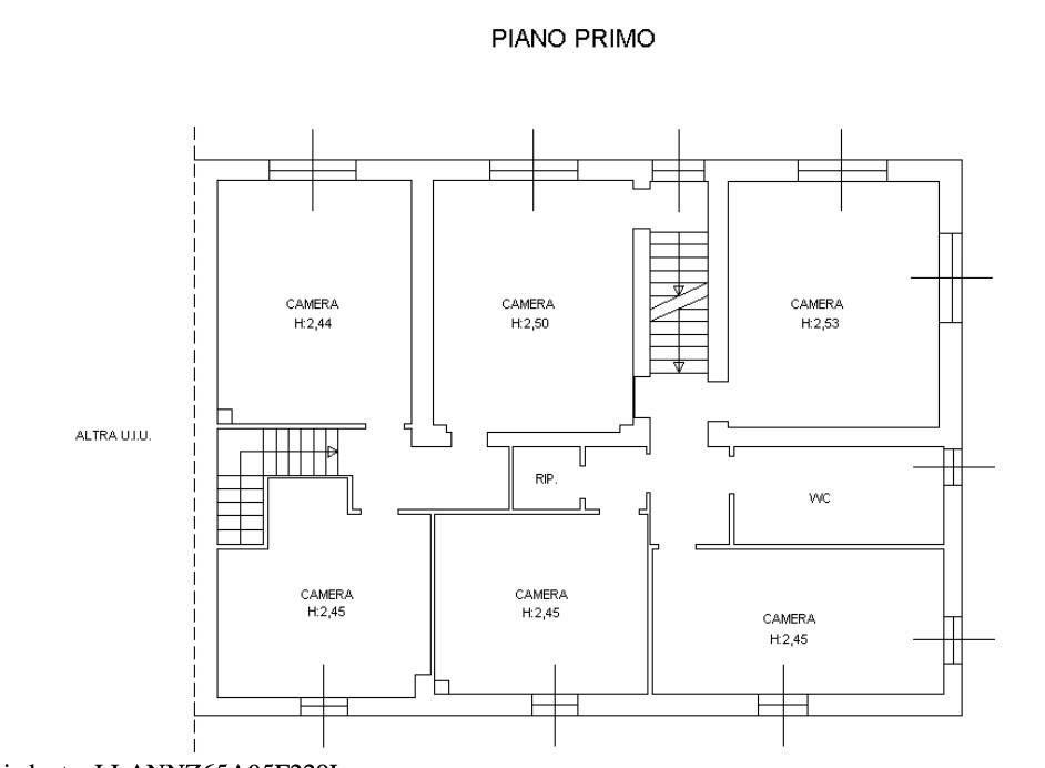 Primo Piano