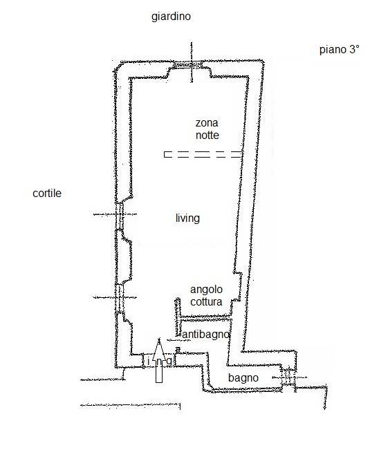 PIANTA VIG32 X SITI -  XXX