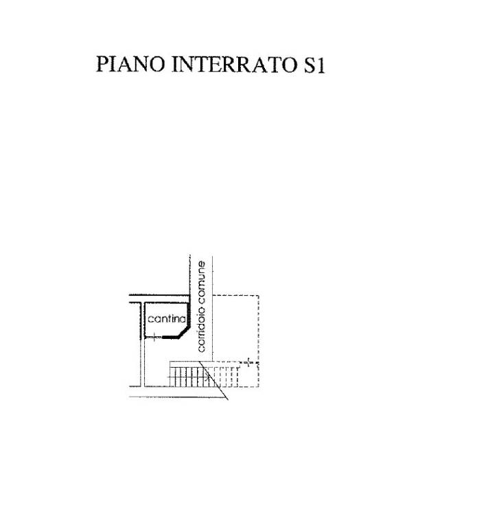 pln cantina portali