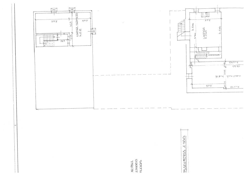 Piantine (1) (1) 2