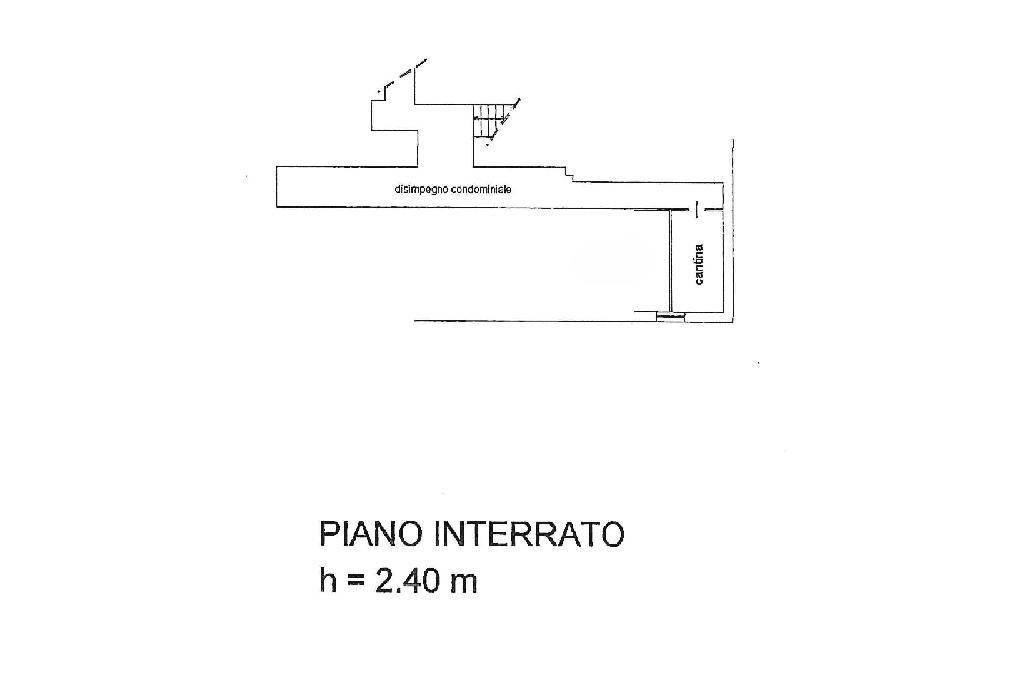 PLANIMETRIA CANTINA