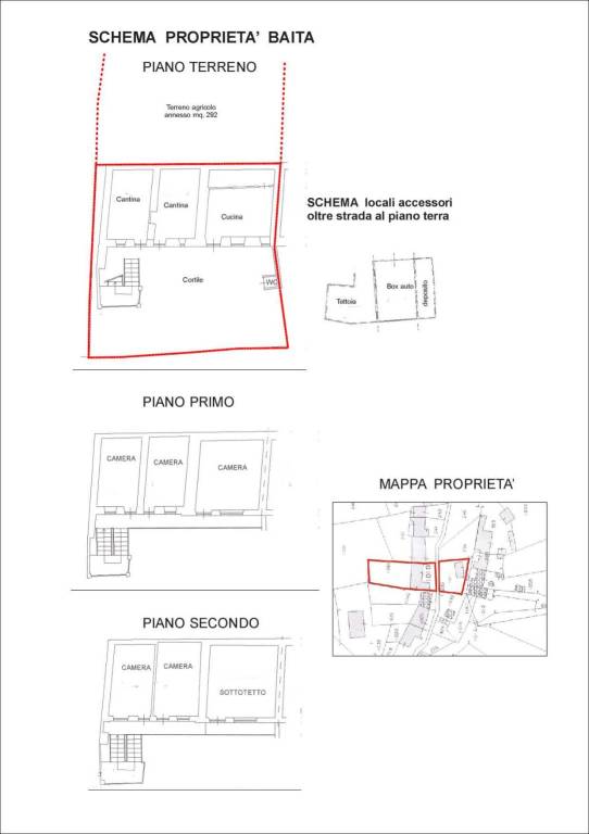 SCHEMA PIANTE